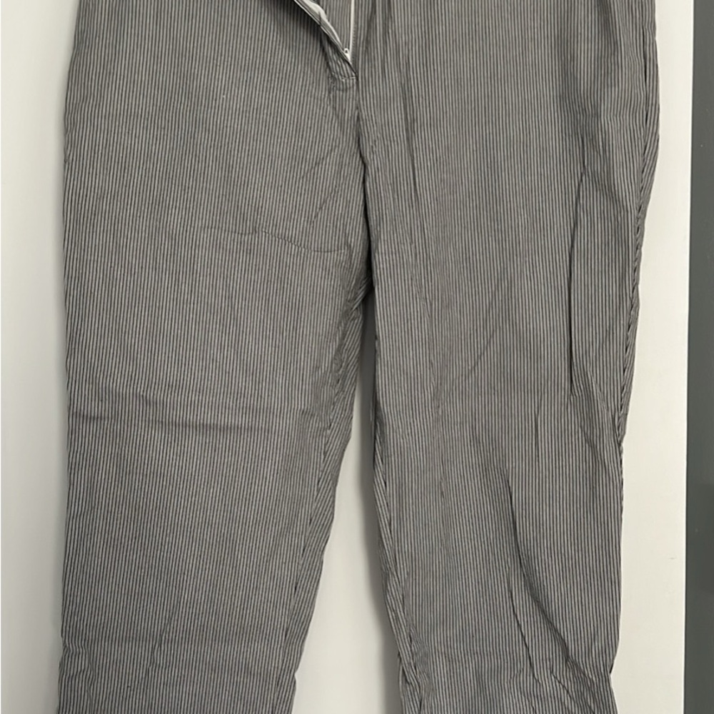 Talbots Striped blue and white Pants